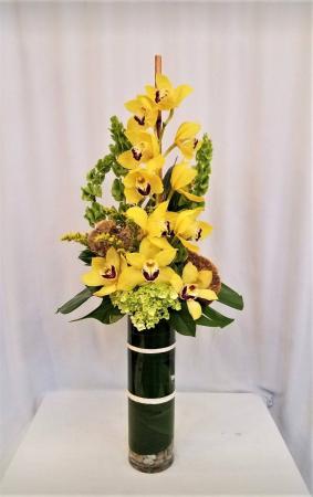 Cymbidium  Splendor Orchid Arrangement