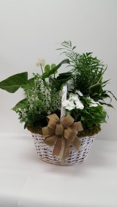 Green and Blooming Combo Basket Plants