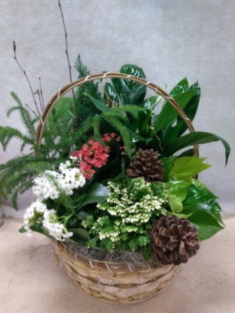 Green and flowering plant basket 