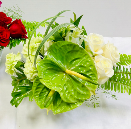 Green Anthurium Hearts Valentines