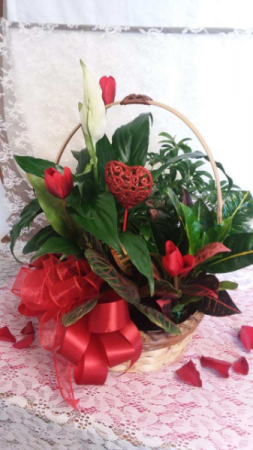 Green Assortments