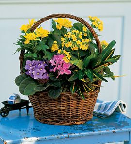Green & Blooming Basket
