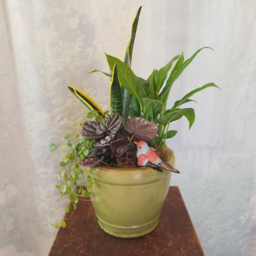 Green Ceramic Planter Garden Green Plants