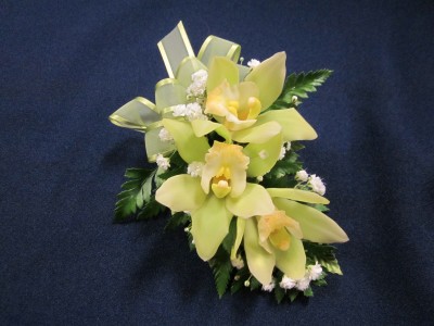 Green Cymbidium Orchid,  $25.00 