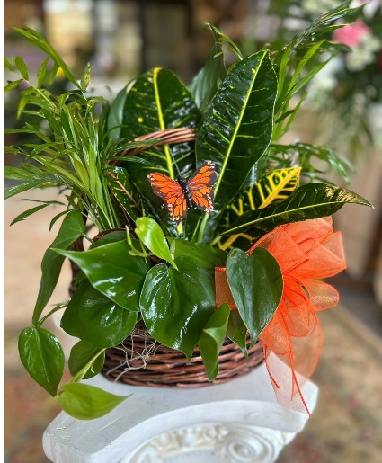 Green Garden Plant Basket