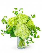 Green Glow Flower Arrangement