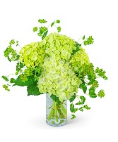 Green Glow Flower Arrangement