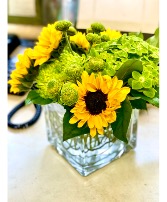 Sunshine Lime Cube  All Occasions