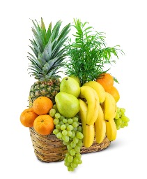 Green Goodness Fruit & Plant Basket Flower Arrangement