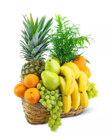 Green Goodness Fruit & Plant Basket Gift Basket