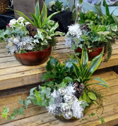 Green Green Christmas Planter 