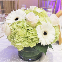 Hydrangeas and Company *READ DESCRIPTION*