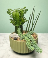 Green Oasis Dish Garden