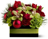Green Orchid Christmas  One sided low arrangement in Edmonton, AB | PETALS ON THE TRAIL