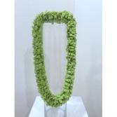 Green Orchid Lei Lei