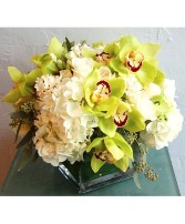 Green Orchids And White Hydrangea 