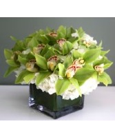 Green Orchids in a vase Vase Arrangement