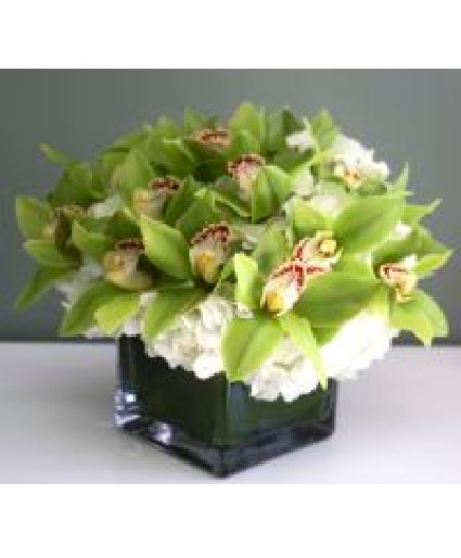 Green Orchids in a vase Vase Arrangement