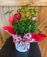 Green plant Valentine's Day Special