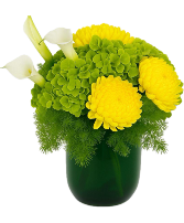 Green Radiance Floral Arrangement