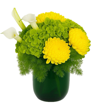 Green Radiance Floral Arrangement