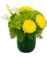 Green Radiance Floral Arrangement