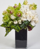 Green Sapphire A True Gem of Green Orchids and Hydrangea "Lavish Collection Must be pre-ordered 3 days in advance" 