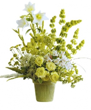 Green Spendor Premium Arrangement
