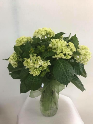 Green splendor Vase arrangement