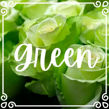 Green Tea Roses 