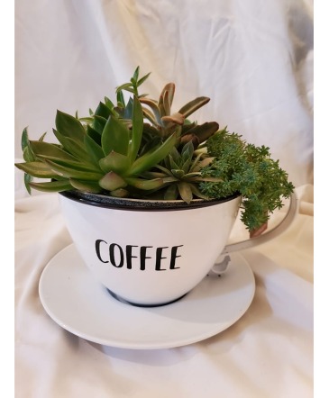 Green Thumb Coffee Time Mom  LOCAL DELIVERY ONLY Plant  in Bristol, CT | DONNA'S FLORIST & GIFTS