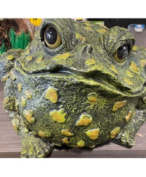 Green Toad Giftware