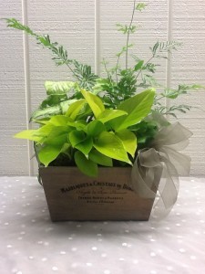 Green Wood Planter Decorative Planter Box