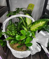 Greens basket 