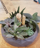 Grey Ceramic Bowl Succulent Garden