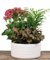 GREY EMBOSS DOTS Planter