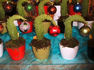 Grinch Tree Plant in Toronto, ON - THE NEW LEAF FLORIST