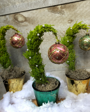 Grinch Tree Plant in Toronto, ON | THE NEW LEAF FLOWERS & GIFTS Grinch Tree Plant in Toronto, ON | THE NEW LEAF FLOWERS & GIFTS