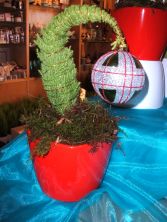 Grinch Tree Plant