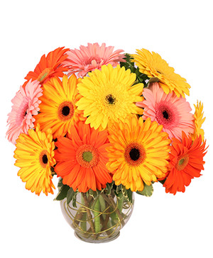 Groovy Gerberas Flower Arrangement