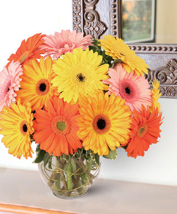 Groovy Gerberas Lifestyle Arrangement in Albany, NY | Ambiance Florals & Events