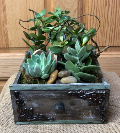 Vintage Succulent Garden T&V Original