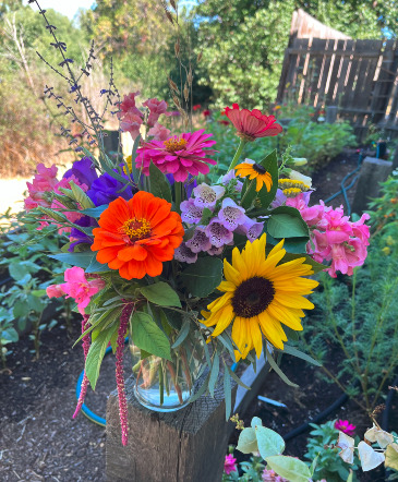 Grown on site -small in Klamath Falls, OR | Yarrow in Bloom Grown on site -small in Klamath Falls, OR | Yarrow in Bloom