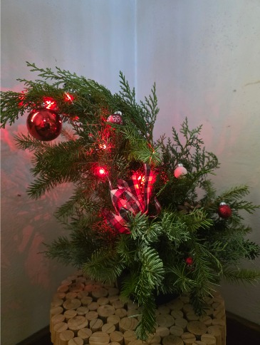 Grump Tree  in North Platte, NE | PRAIRIE FRIENDS & FLOWERS