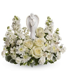 Category Image
