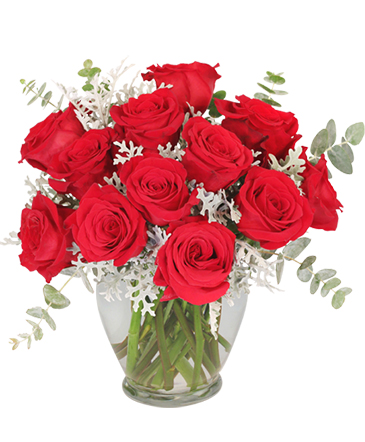 Guilty Pleasure Dozen Roses in Mansfield, OH | Alta Florist Mansfield