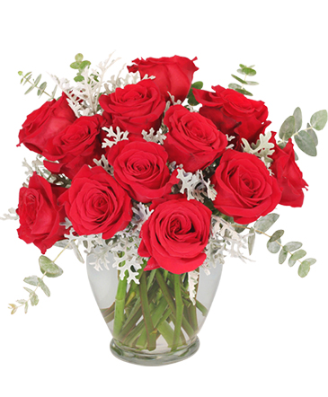 Guilty Pleasure Dozen Roses in Sterling, IL | Lundstrom Florist