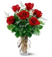 Hald Dozen Classic Roses Red Rose Arrangment