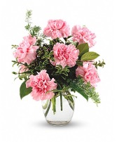 Half Dozen Carnations Many Colors Available 