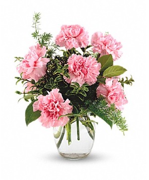 Half Dozen Carnations Many Colors Available 